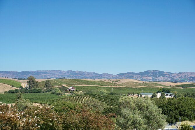 Wine Tour Transportation Services in Napa Valley - Frequently Asked Questions