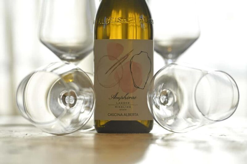 Wine Tour.Visit a Small Organic Winery in the Langhe/Cascina Alberta - The Wines and Tasting Experience