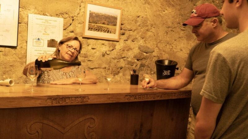 Wine Tour with private driver - Key Points