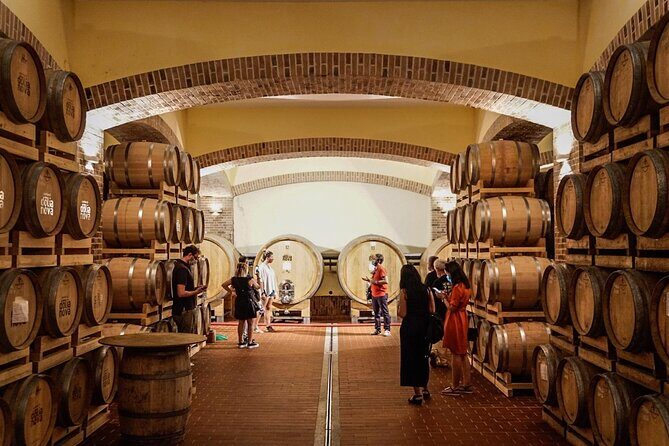 WINE TOUR with sommelier in a winery near Cagliari - A Detailed Look at the Sardinian Wine Tour