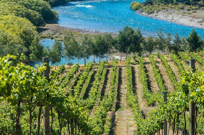 Wine Tour with Wine Tasting from Wanaka - FAQs