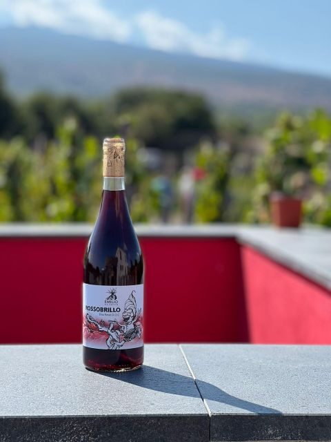 Wine tour with wine tasting - The Experience in Detail