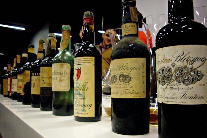 Wine Tourism Half Day Tour - FAQs