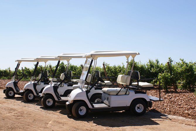 Wine tourism: Wine tasting - Key Points