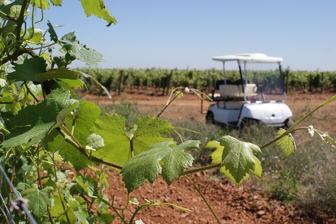 Wine tourism: Wine tasting - FAQ