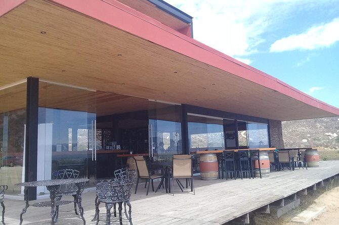 wine tours and driver service through valle de guadalupe, Ensenada B.C. Mexico - Who Will Love This Tour?