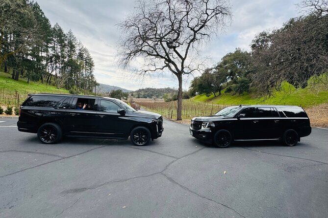 Wine Tours for 6 Hours and Private Transportation Services - Stop 2: Sonoma County