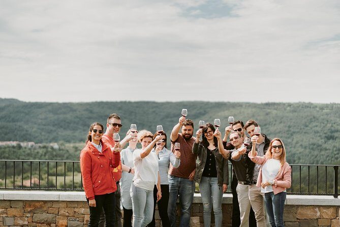 Wine Tours in Slovenia - Exploring Wine Tours in Slovenia: A Deep Dive into the Vipava Valley Experience
