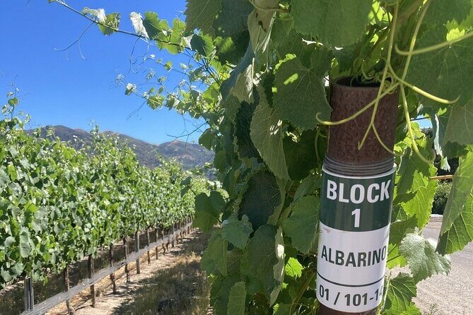 Wine Tours One - Pricing and Value