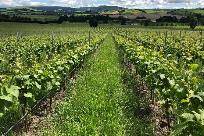 Wine trail and Christchurch City - Luxury, Small Group Tour - Final Thoughts: Is It Worth It?