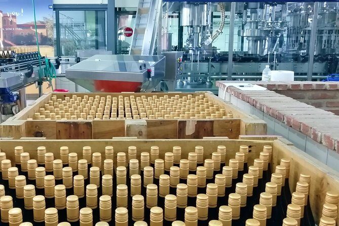 Wine Trails Private Tour/ Nemea visit 3 wineries from Athens or Nafplion (10 h) - The Itinerary in Detail: What to Expect