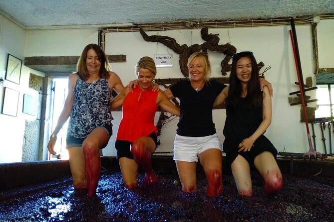 Wine Venture and Boat Trip in Douro Valley from Porto - Value and Practical Details