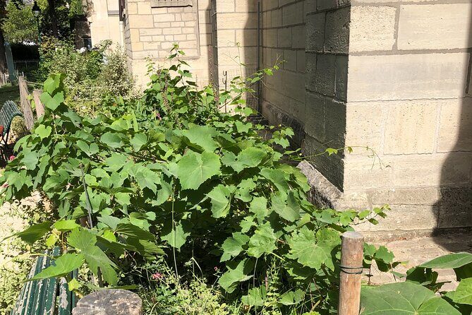 Wine Walk & Tasting in Saint-Germain-des-Prés - Final Thoughts