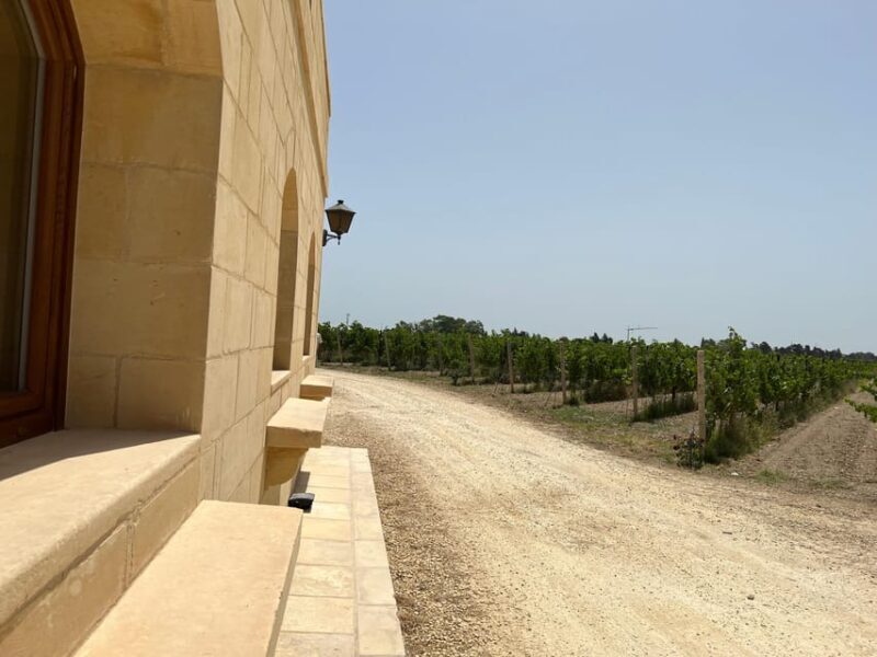 Wine with Maltese Grapes TOUR IN PORTUGUESE - What to Expect From the Maltese Wine Tour