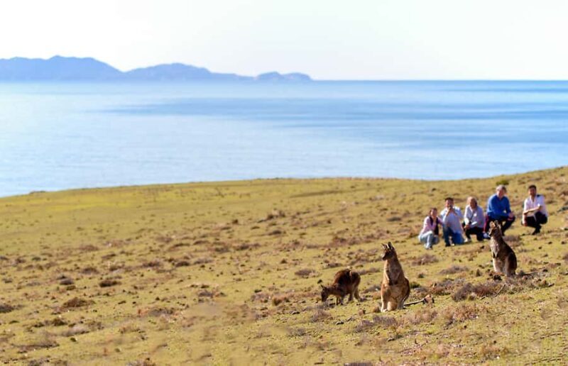Wineglass Bay and Maria Island Scenic Flight Experience - Authentic Reviews: What Past Travelers Say
