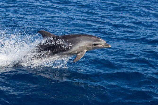 Wineglass Bay Cruise from Coles Bay - Value and Practical Considerations