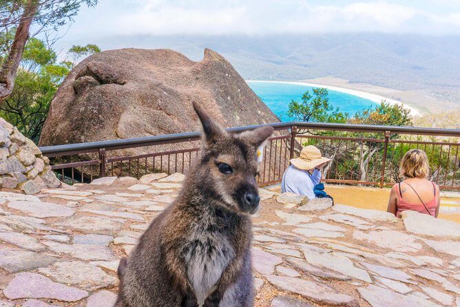 Wineglass Bay & Freycinet NP Full Day Tour from Hobart via Richmond Village - A Full Breakdown of the Day