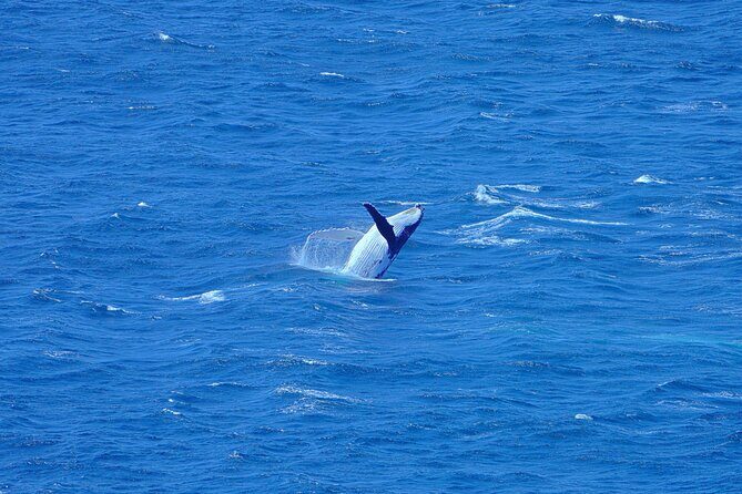 Wineglass Bay & Freycinet NP Full Day Tour from Hobart via Richmond Village - Frequently Asked Questions