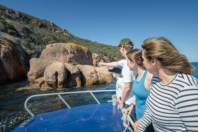Wineglass Bay Shared Cruise and Walking Tour - The Experience: What to Expect from Start to Finish