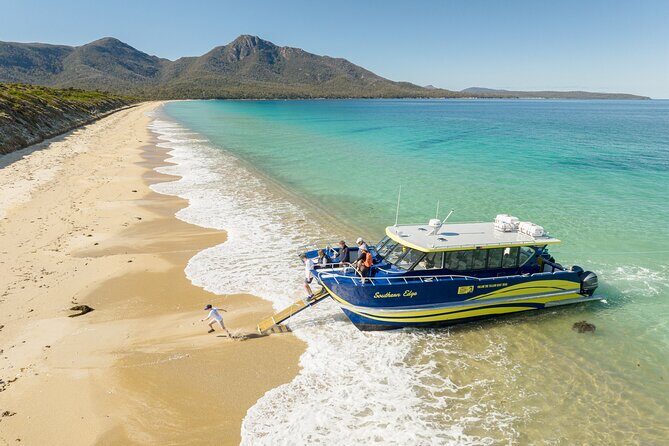 Wineglass Bay Shared Cruise and Walking Tour - The Breakdown: What Makes It Stand Out?