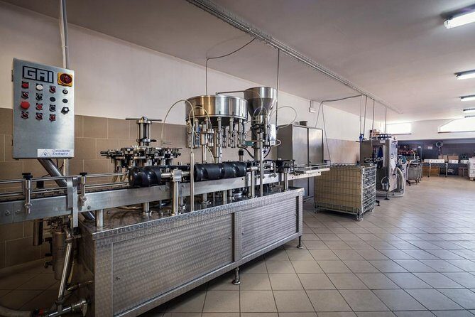 Winemaker for a Day: Tour an Organic Winery - The Itinerary in Detail