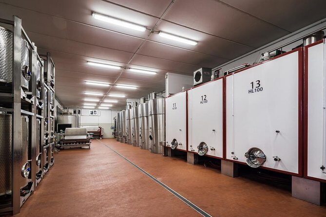 Winemaker for a Day: Tour an Organic Winery - The Sum Up