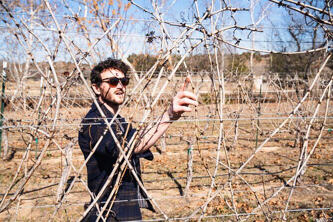 Winemaker Tour & Barrel Tasting - Exploring the Winemaker Tour & Barrel Tasting at Flat Creek Estate