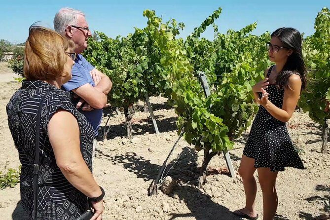 Winery And Oil Mill Tasting Tour - Final Thoughts