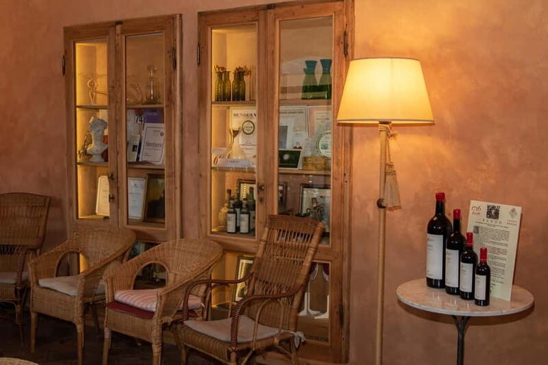 WINERY AND VINSANTAIA TOUR + TASTING + PLATTER - Key Points