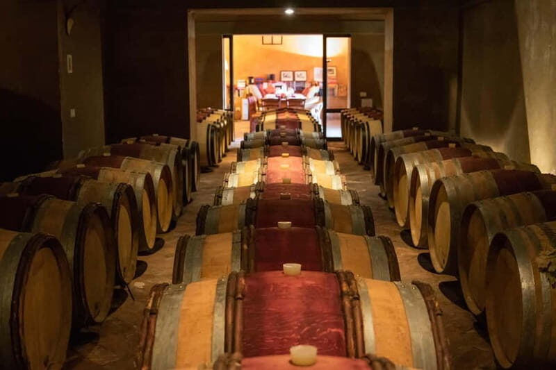 WINERY AND VINSANTAIA TOUR + TASTING + PLATTER - Final Thoughts