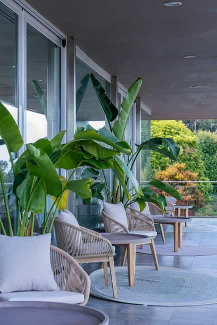 Winery in Rías Baixas with the best views of the Salnés Valley. - Who Will Love This Experience?