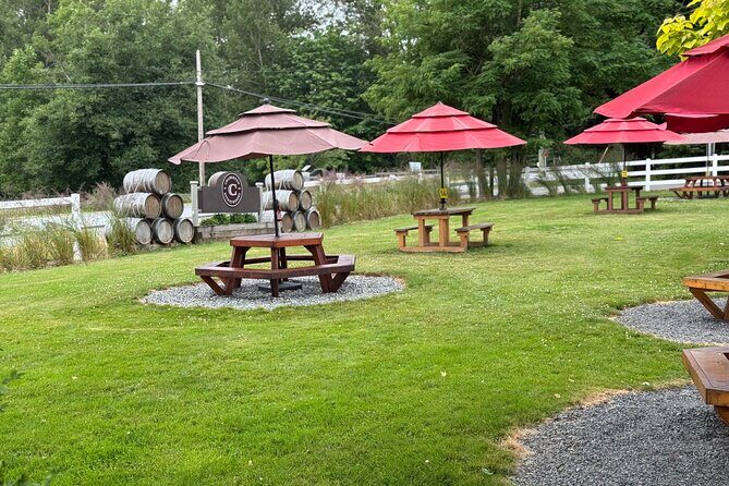 Winery Tasting at Boutique Vineyards - The Itinerary: What to Expect on the Day