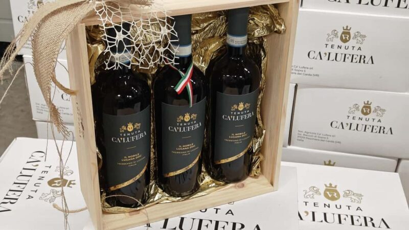 Winery tasting: tour with tasting on the estate. - Key Points