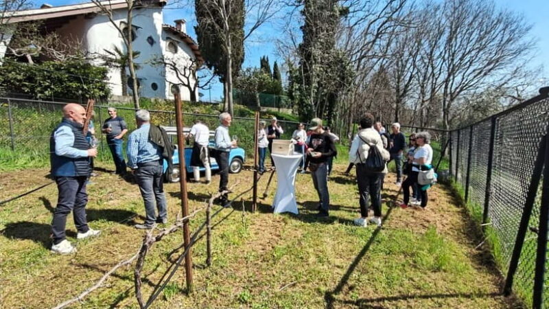 Winery tasting: tour with tasting on the estate. - What to Expect from the Winery Tasting Experience