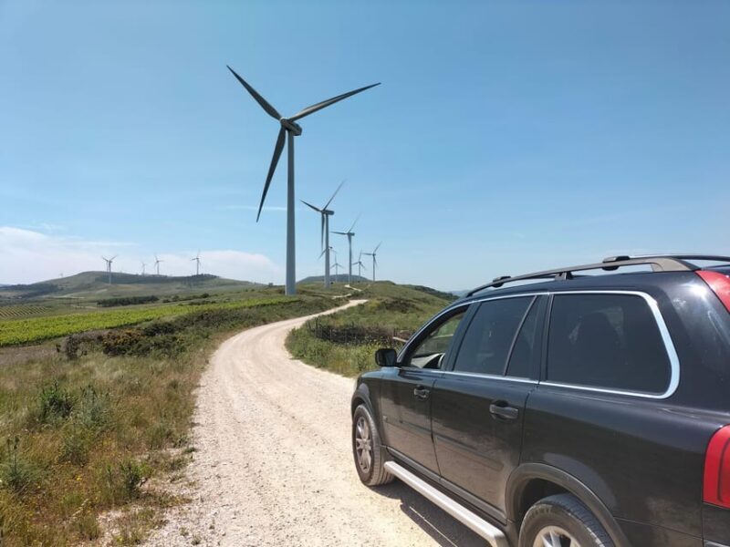 Winery, Tastings & 4WD Vineyards: Half-Day Trip from Lisbon - Key Points