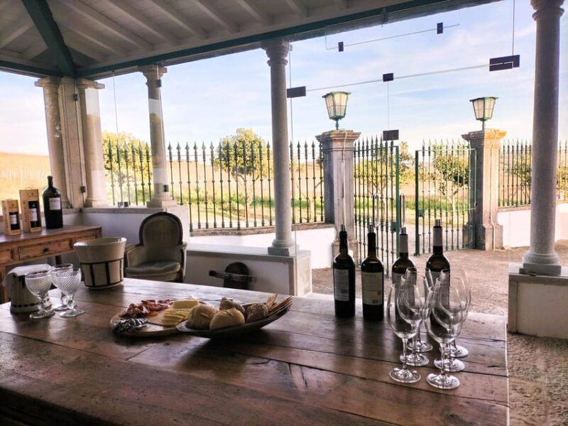 Winery, Tastings & 4WD Vineyards: Half-Day Trip from Lisbon - Wine and Tapas Pairings
