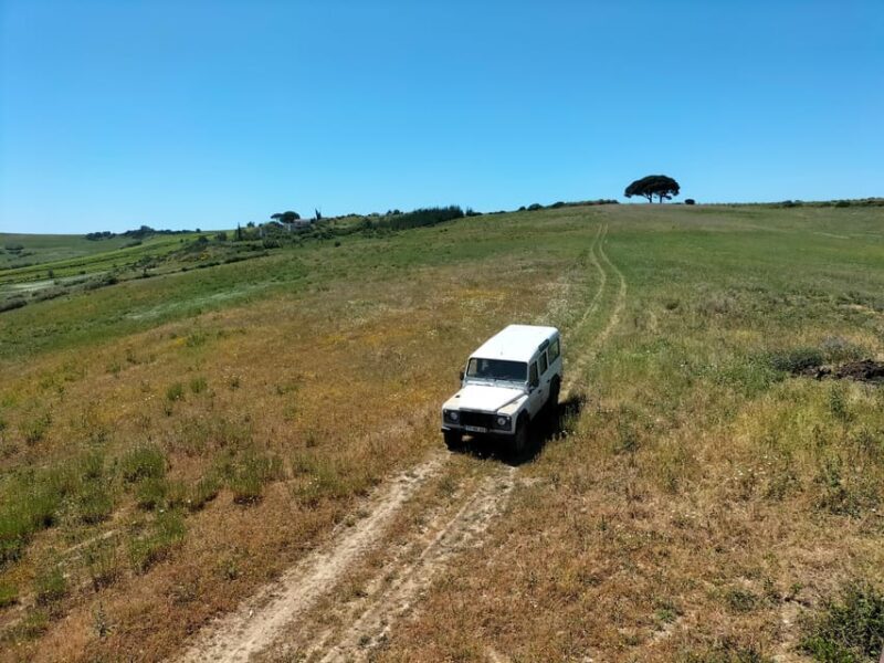 Winery, Tastings & 4WD Vineyards: Half-Day Trip from Lisbon - Scenic Landscape and Sunset Views