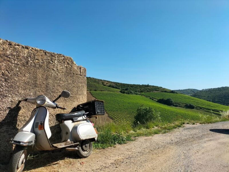 Winery, Tastings & 4WD Vineyards: Half-Day Trip from Lisbon - Balancing Value and Experience
