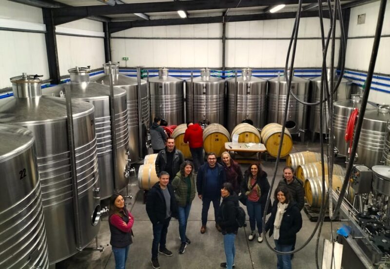 Winery, Tastings & 4WD Vineyards: Half-Day Trip from Lisbon - Who Should Consider This Tour?