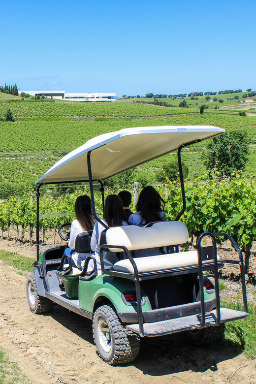 Winery, Tastings & 4WD Vineyards: Half-Day Trip from Lisbon - Final Thoughts