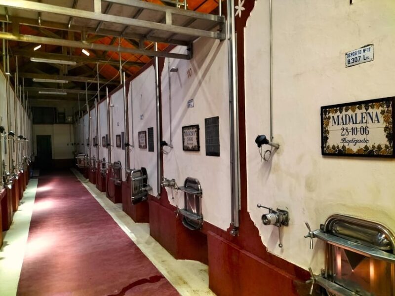 Winery, Tastings & 4WD Vineyards: Half-Day Trip from Lisbon - FAQ