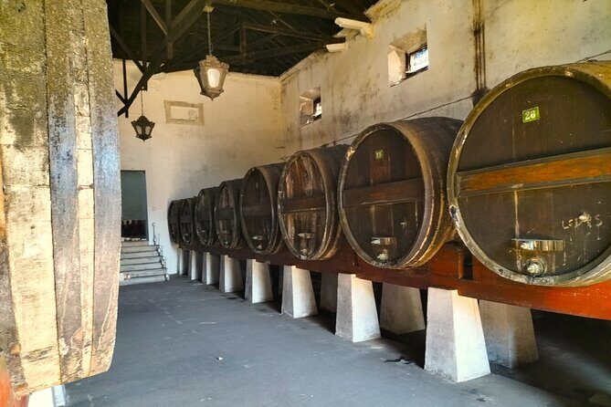 Winery, Tastings & 4WD Vineyards Ride, Half Day Trip from Lisbon - Key Points