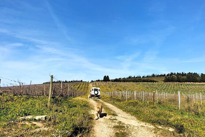 Winery, Tastings & 4WD Vineyards Ride, Half Day Trip from Lisbon - A Deep Dive into the Experience