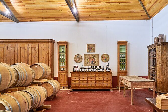 Winery, Tastings & 4WD Vineyards Ride, Half Day Trip from Lisbon - The Sum Up