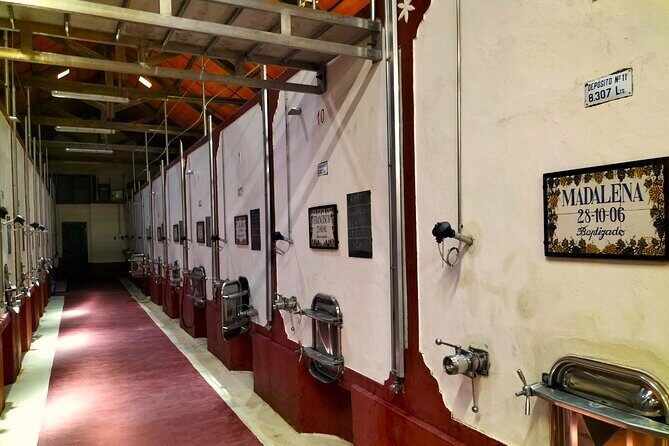 Winery, Tastings & 4WD Vineyards Ride, Half Day Trip from Lisbon - FAQ