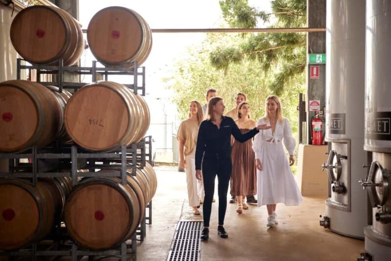 Winery Tour and Tasting - An Immersive Wine Journey in Queensland