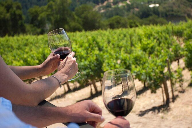 Winery Tour and tasting - What the Tour Entails: A Step-by-Step Breakdown