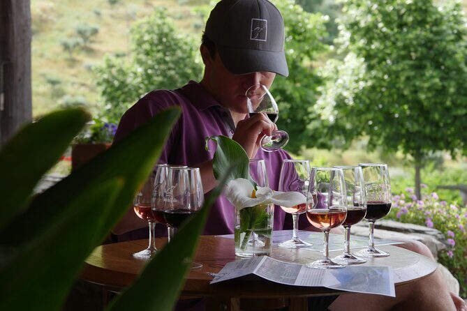 Winery Tour and Tasting in Douro Valley - Who Will Enjoy This Tour?