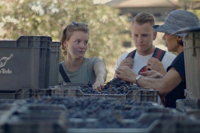 Winery Tour and Tasting in Douro Valley - FAQs