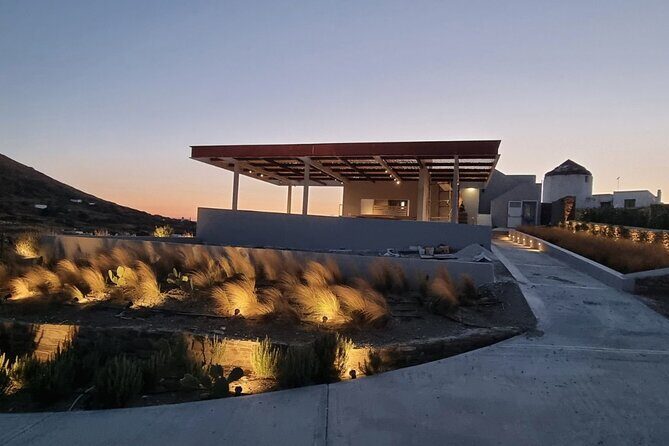 Winery Tour and Tasting in Tinos with the Winemaker - An In-Depth Look at the Tinos Winery Tour and Tasting